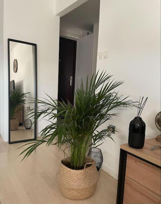 Appartement Prekrasan Mali Stan Matilda U Zagrebu Extérieur photo